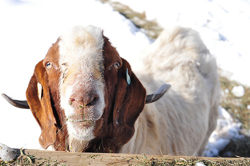 12421081603_d36508fcc8