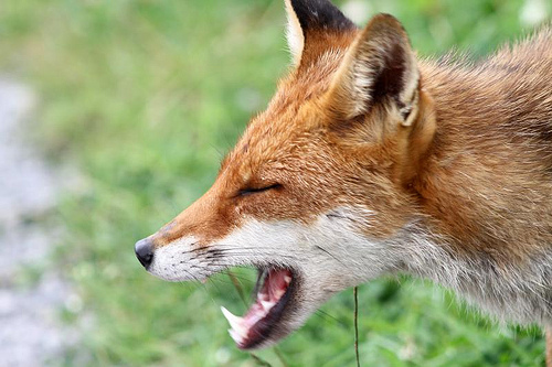 6014179180_b000c53793