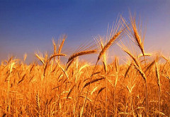 2527127194_59e5dc7e51_m