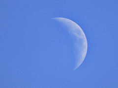 33082009962_41f98a5121_m