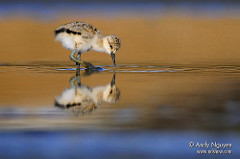 The Power Of Hope|قدرت امید