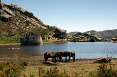 4084310194_6672d6196a_m