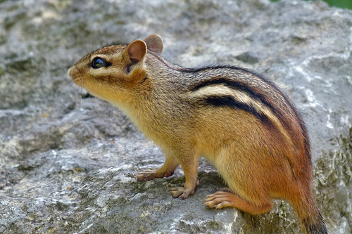 5969474122_d49c261123