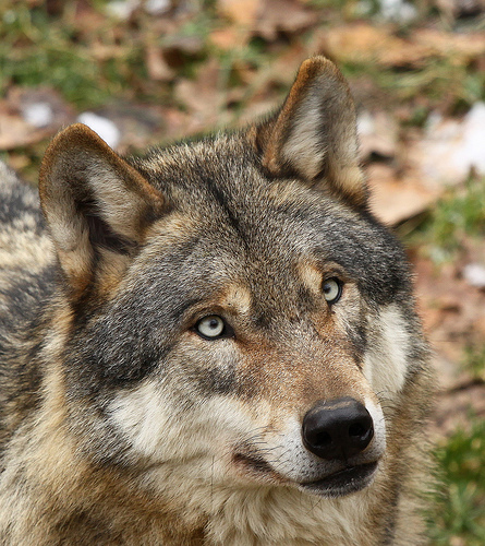 8482986944_0294bbe083