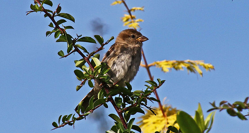 36336427015_e3c94535c3