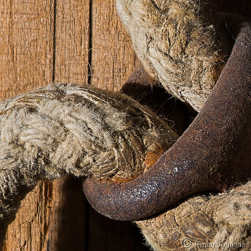 35138206673_76cc76dc68