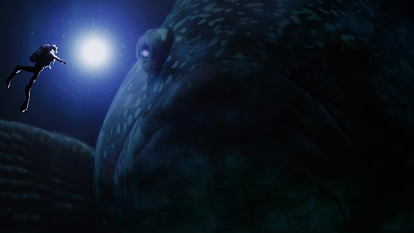 catfish-2369408__340