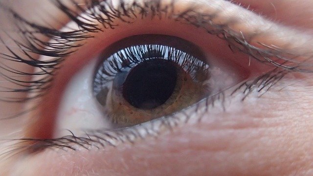The Blind/روشن دل
