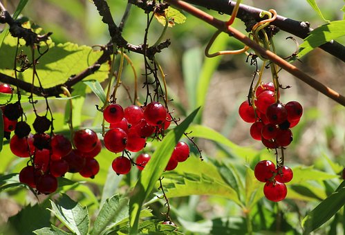 Don’t Let Our Generation Go Extinct|اجازه ندهید نسل ما نابود شود