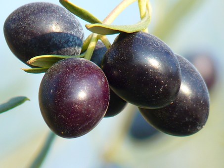 olives-15016__340 (1)