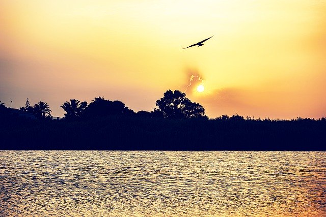 God is Superior|خدا برتر&nbsp;است