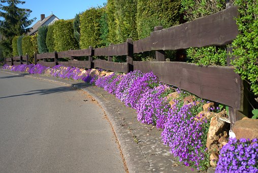 flowers-4147830__340