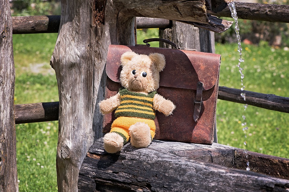 teddy-831818_960_720