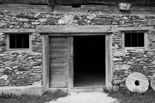 The Dog Knew Better|سگ بهتر می&nbsp;دانست