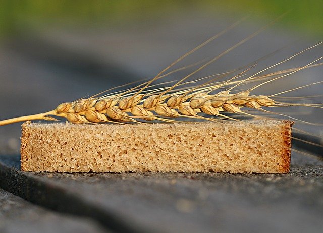 The Sack Of Wheat|کیسه گندم