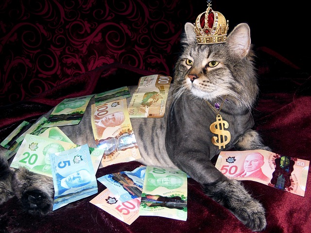 Rich People/افراد ثروتمند